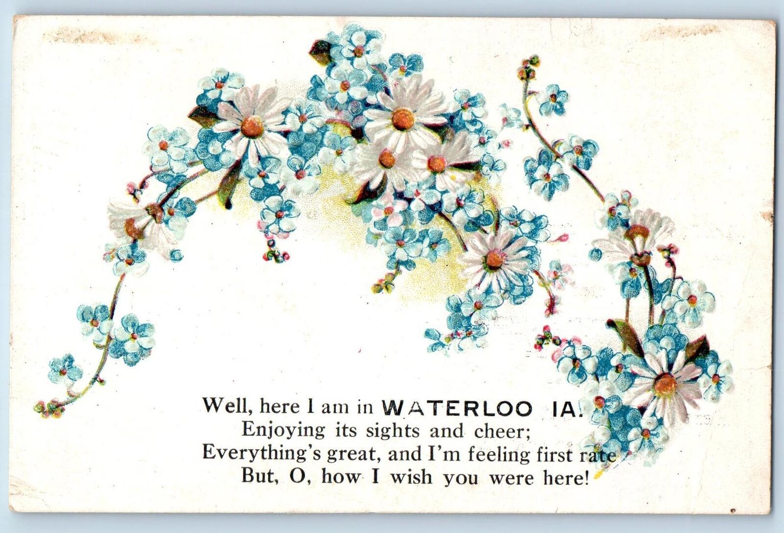 Waterloo Iowa IA Postcard Greetings Embossed Daisy Flowers Leaves c1920s Antique