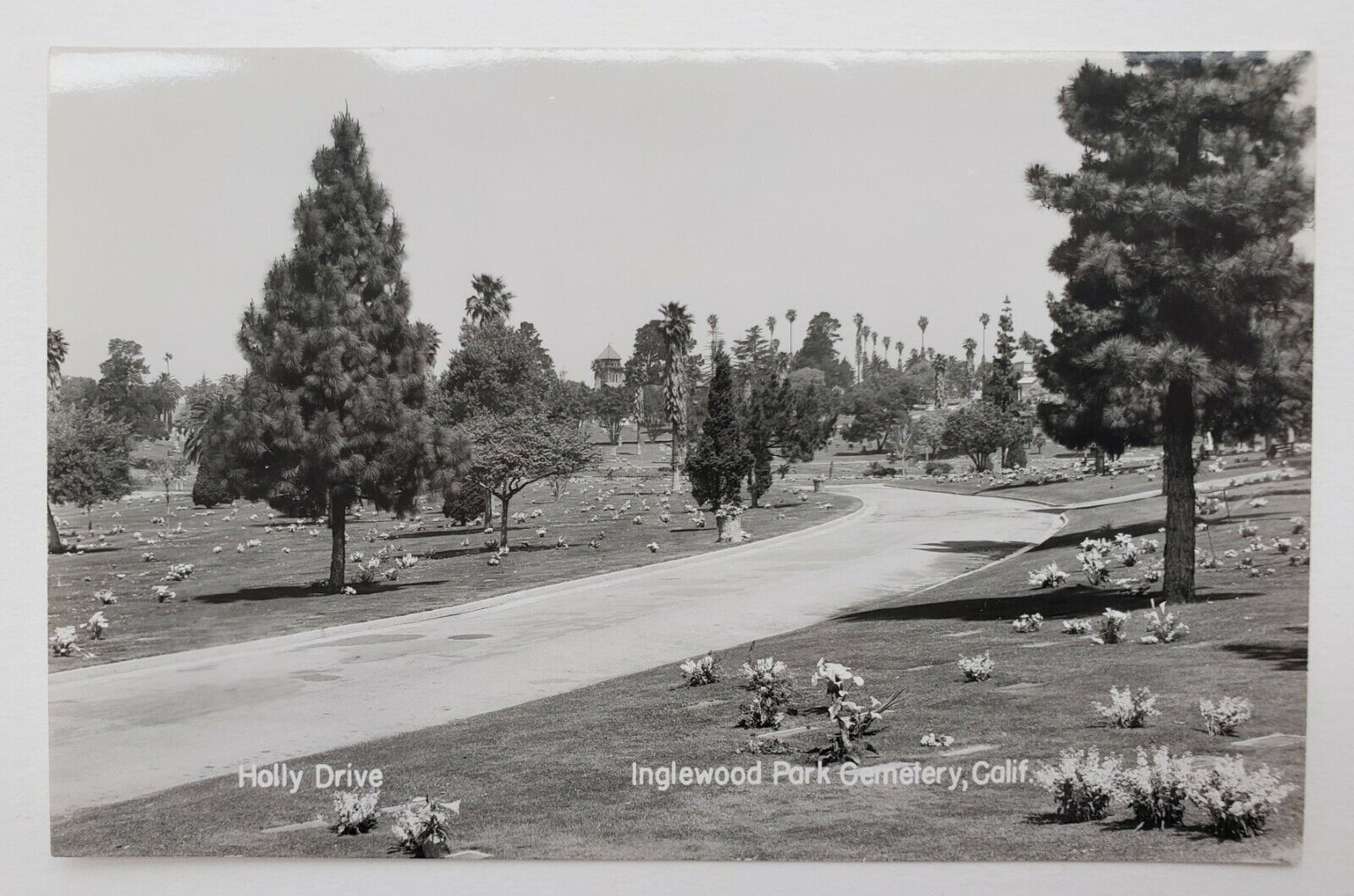 Inglewood Park Cemetery, CA Holly Drive RPPC Real Photo Vintage Postcard K20