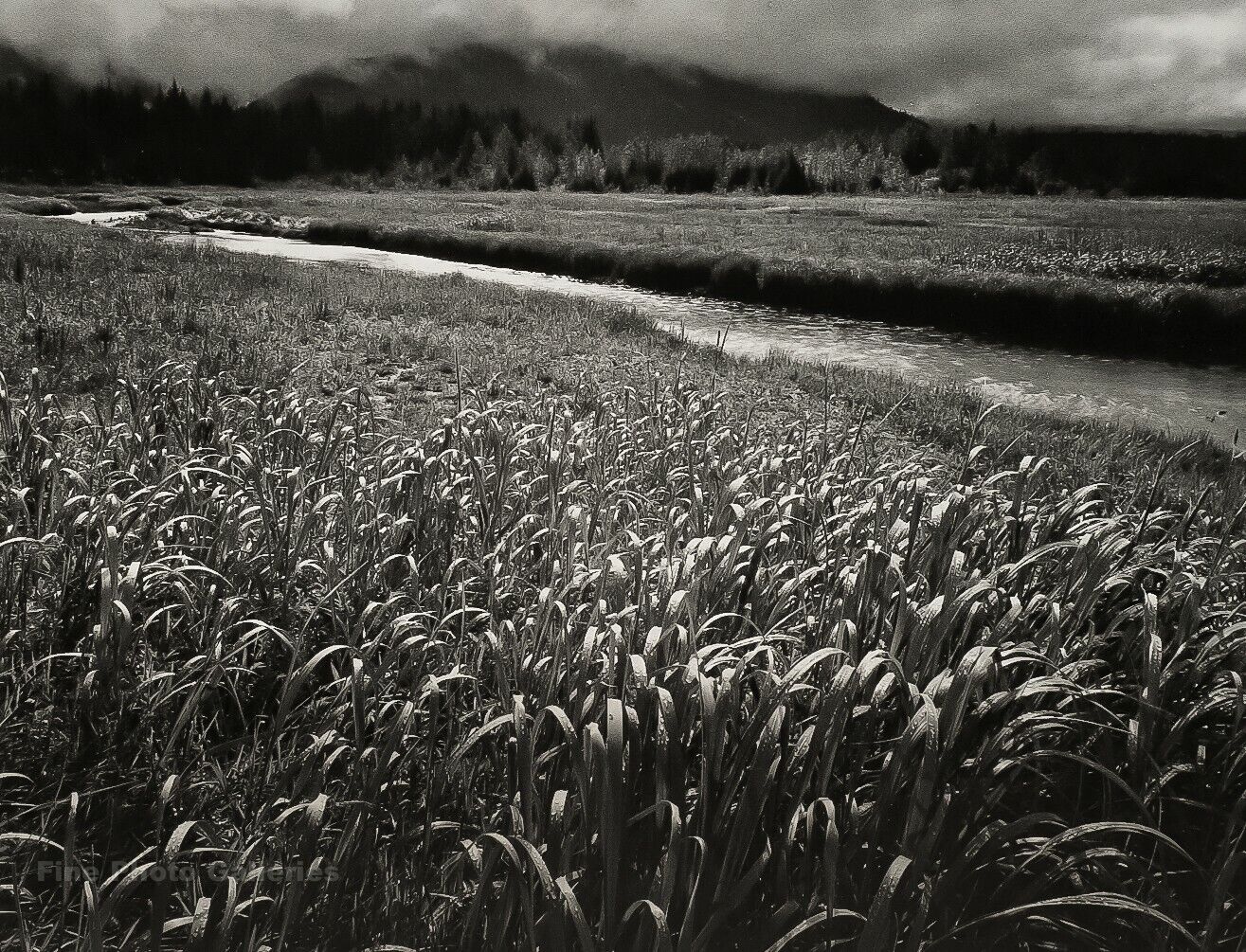 1948/72 ANSEL ADAMS Vintage Rain Beartrack Cove Alaska Landscape Photo Art 11X14