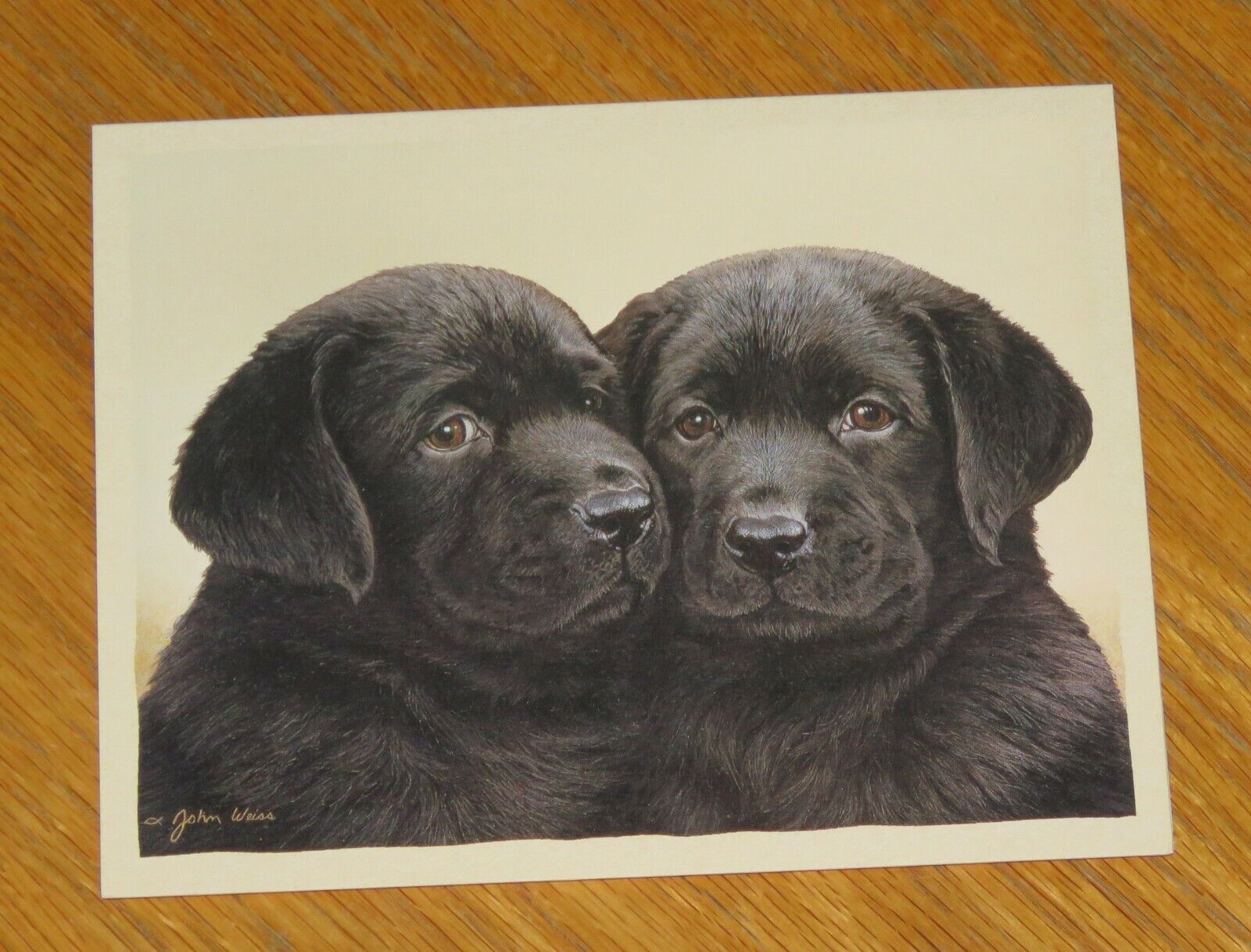 John Weiss Art - Double Trouble - Vintage Lang 5 x 6 Note Card 4ct - Puppy Dog