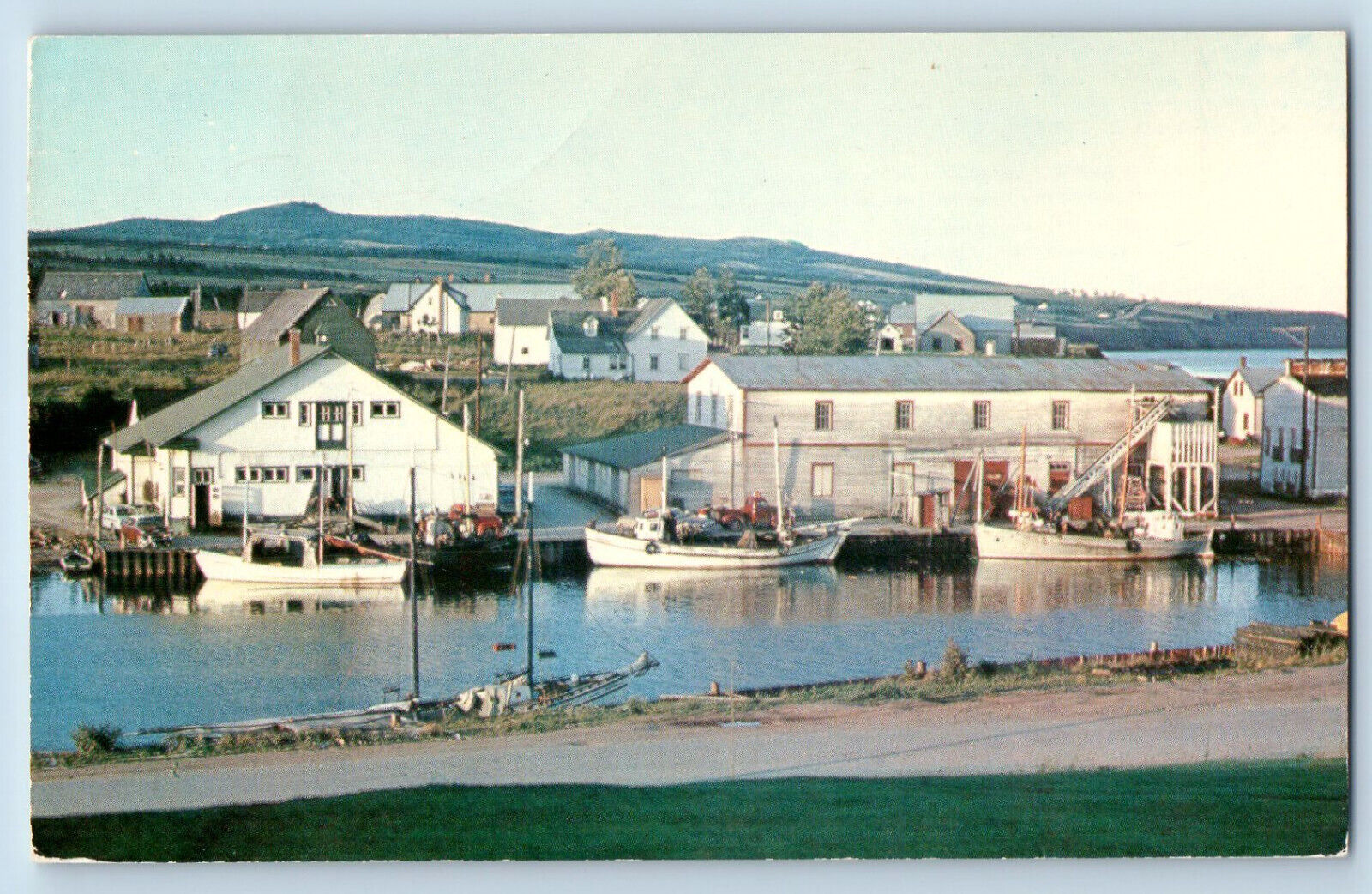 La Gaspesie Quebec Canada Postcard Fishing Boat Unloading Their Catch c1950's