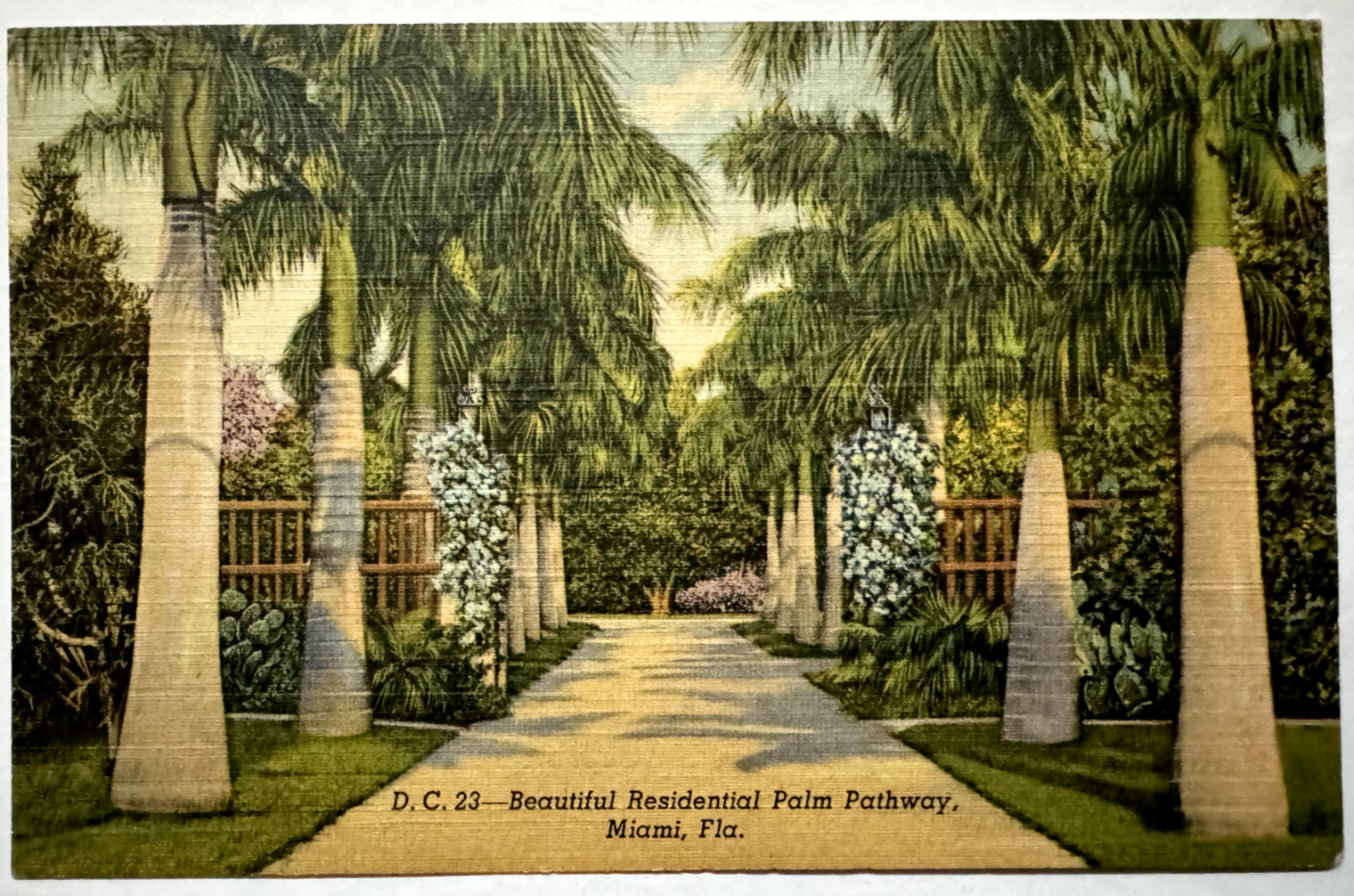 Beautiful Residential Palm Pathway Miami Florida FL DC 23 Linen 1945 Postcard
