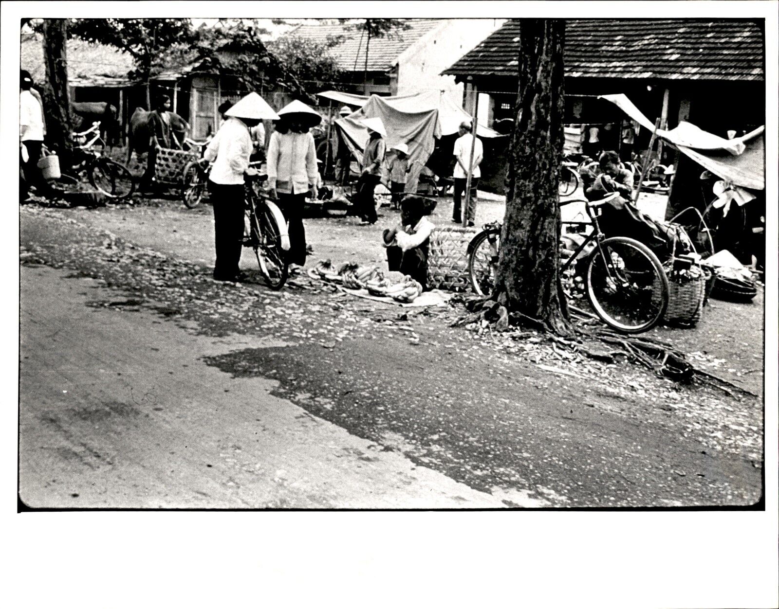 LD306 1977 Original Photo ROADSIDE SCENE FROM NAM DINH TO HANOI VIETNAM CULTURE