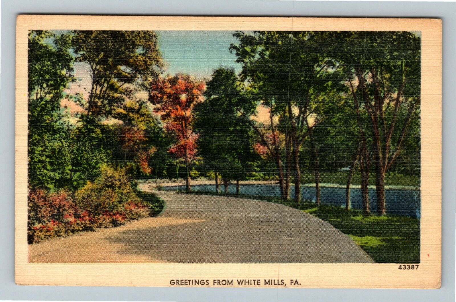 White Mills PA-Pennsylvania, Scenic Greetings Vintage Souvenir Postcard