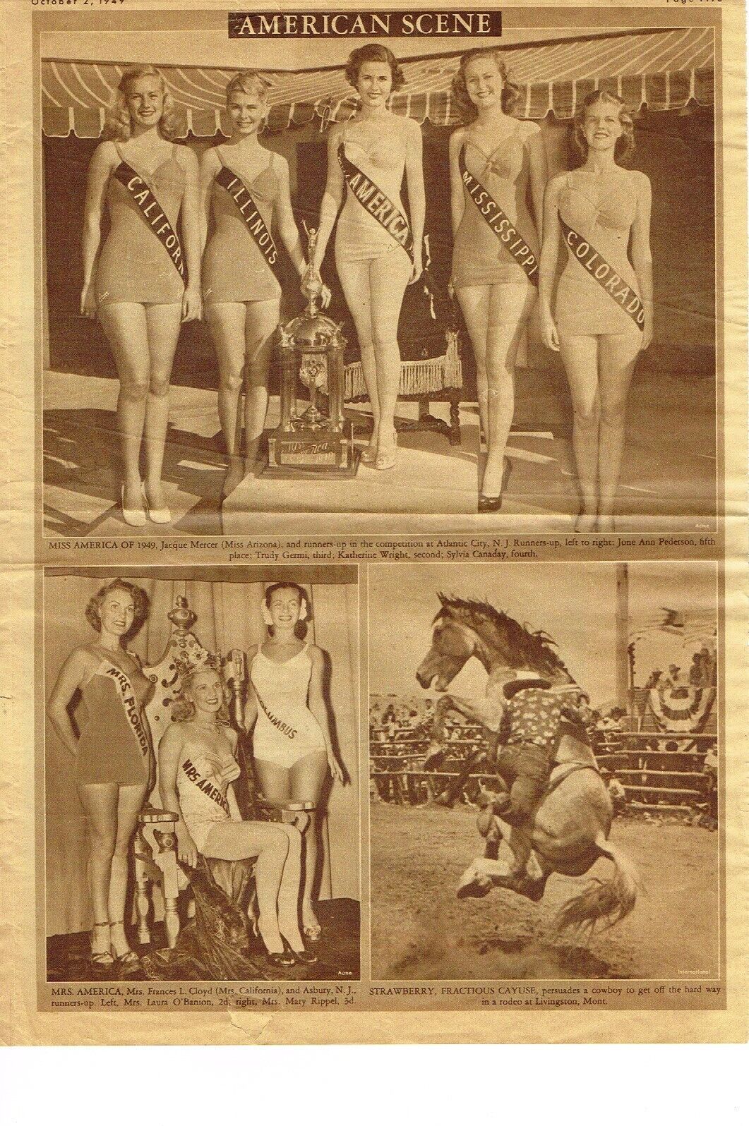 American Scene Miss Mrs America Horse 1 Page Chicago Tribune Newspaper 1949 VTG