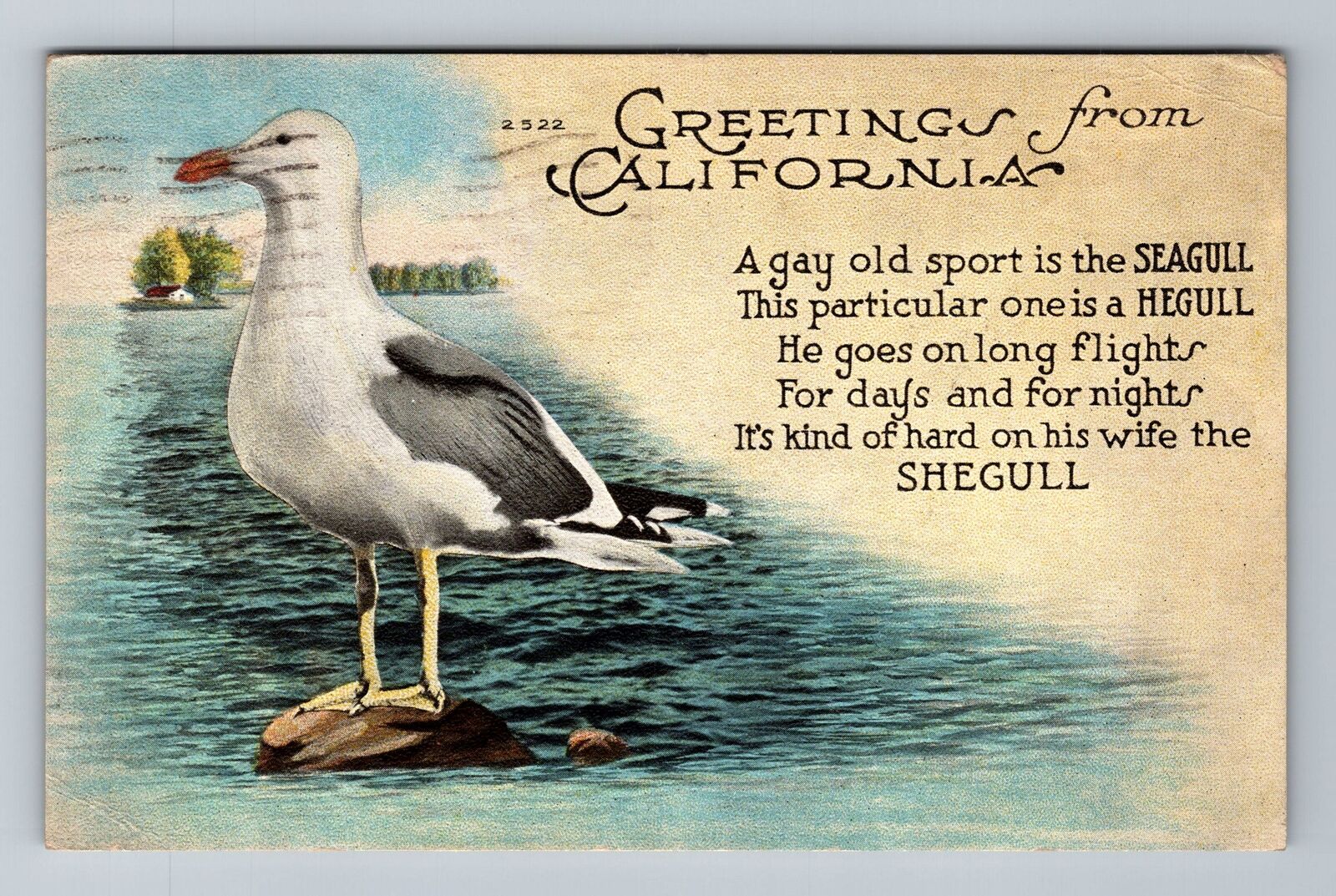 CA-California, Greetings, Funny Story, Seagulls, c1920, Vintage Postcard