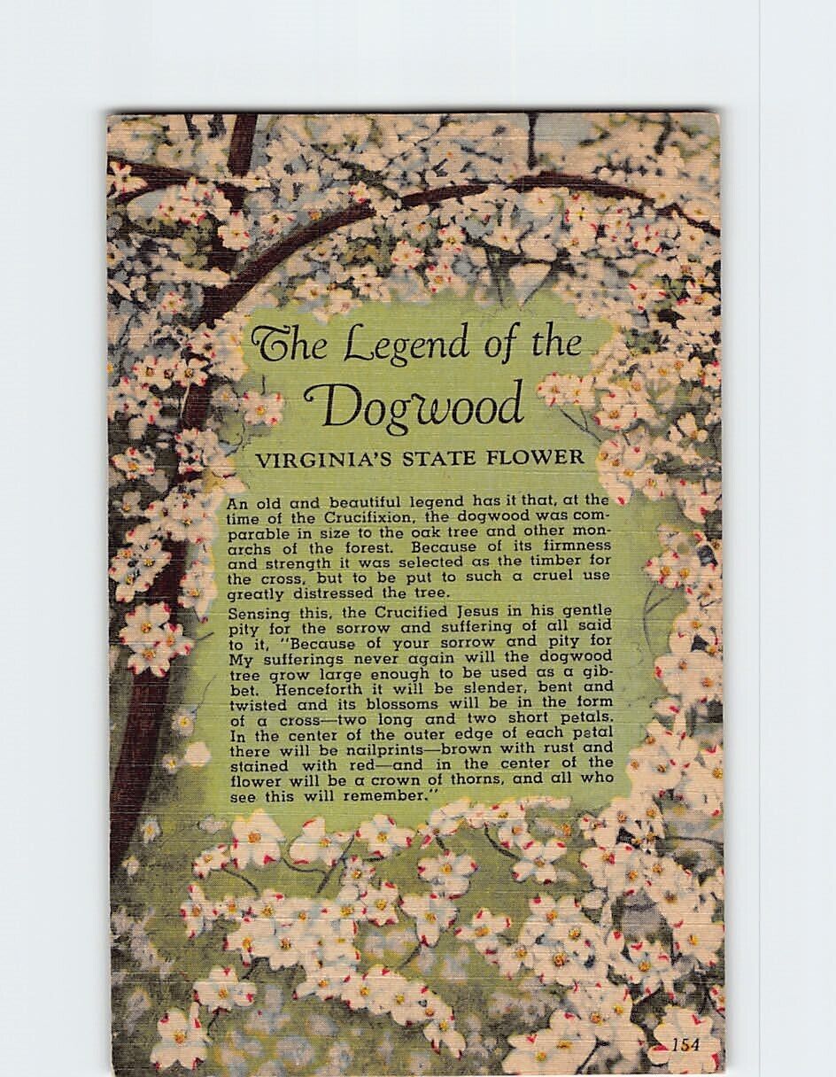 Postcard The Legend of the Dogwood Virginia's State Flower