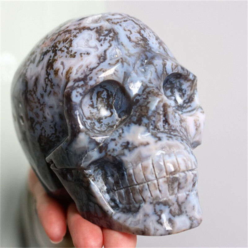 1210g Top Natural Ocean Grass Agate Quartz Skull Carved Crystal Skull Reiki.W283