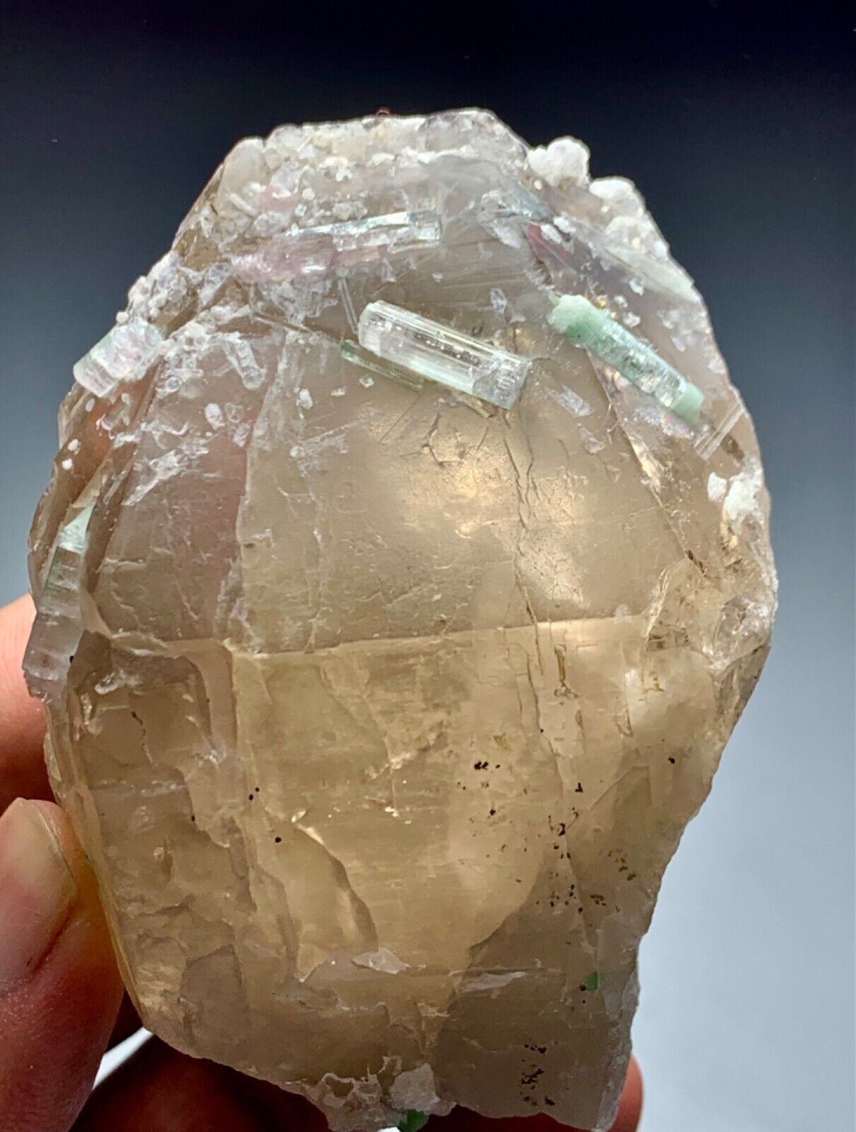 282.17 Gm Top Quality bi colour Tourmaline Crystal with Smoky Quartz Afghanistan