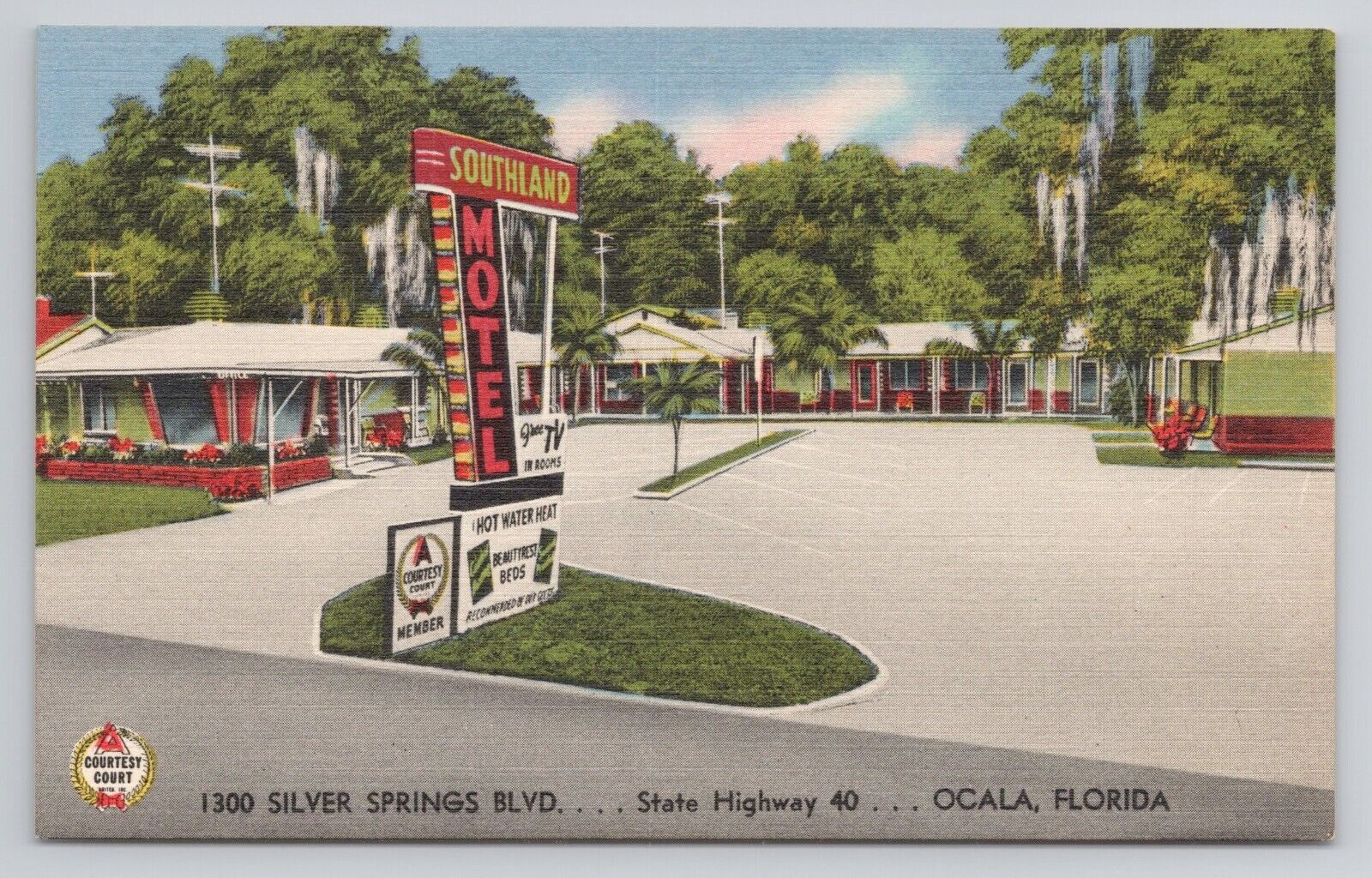 Silver Springs Blvd State Highway 40 Ocala Florida Linen Postcard No 5888
