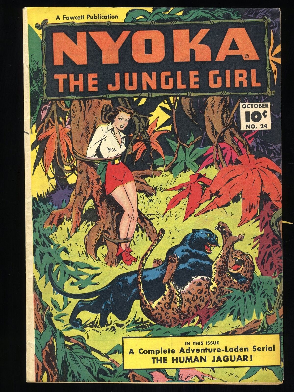 Nyoka, the Jungle Girl #24 FN+ 6.5 Fawcett