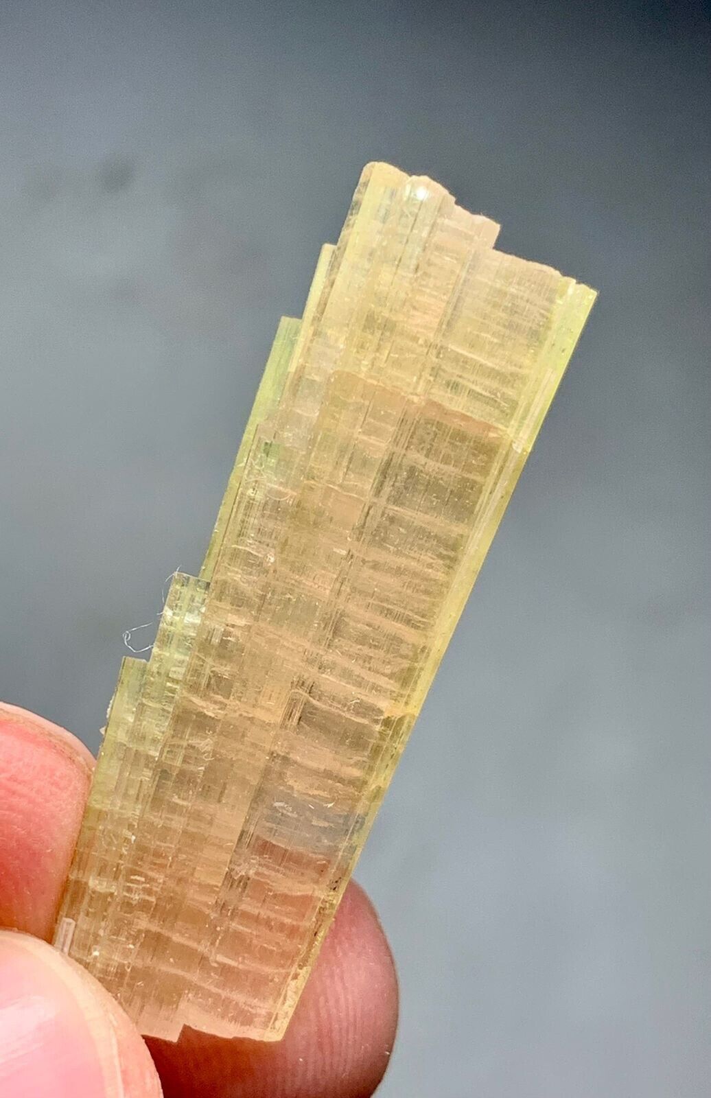 28 Cts Beautiful Termineted bi colourTourmaline Crystals bunch  from Afghanistan