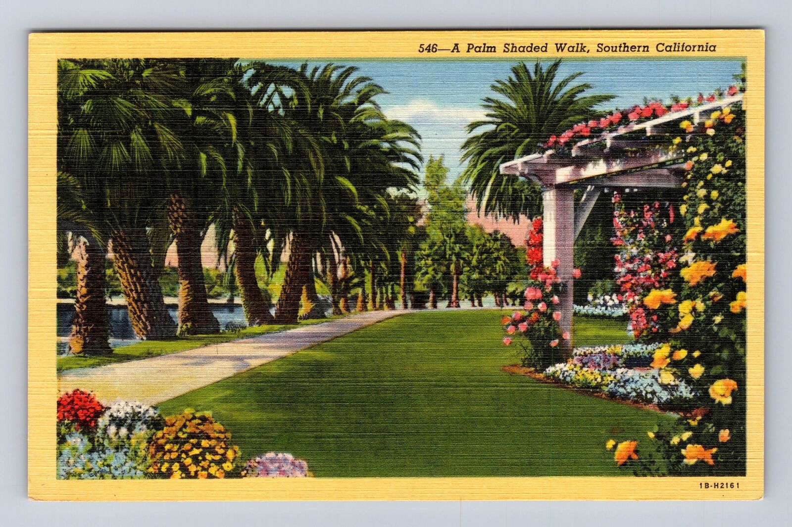 CA-California, Palm Shaded Walk, Antique, Vintage Card Souvenir History Postcard