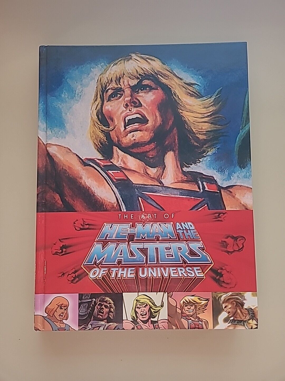 Art of He Man and the Masters of the Universe. DARKHORSE  by Tim & Steve Seeley