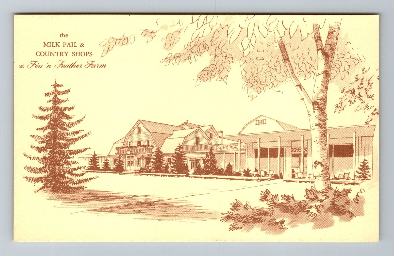 Dundee IL-Illinois, Fin N Feather Farm Vintage Souvenir Postcard