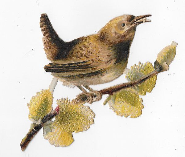 1888 Chromo de Coupis, French BIRDS NO.5, Victorian Antique, Diecut, 4