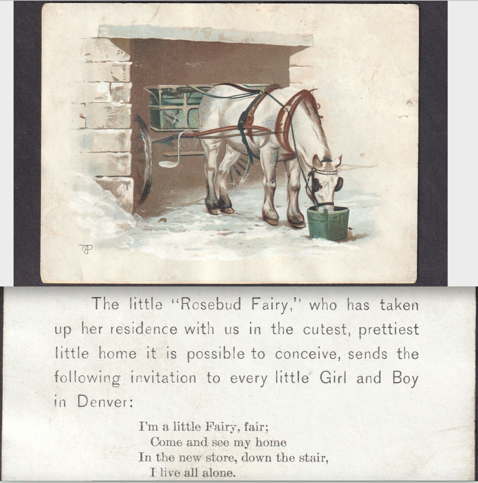 Denver McNamara Dry Goods Store 1800s Rosebud Fairy poem Colorado Victorian Card