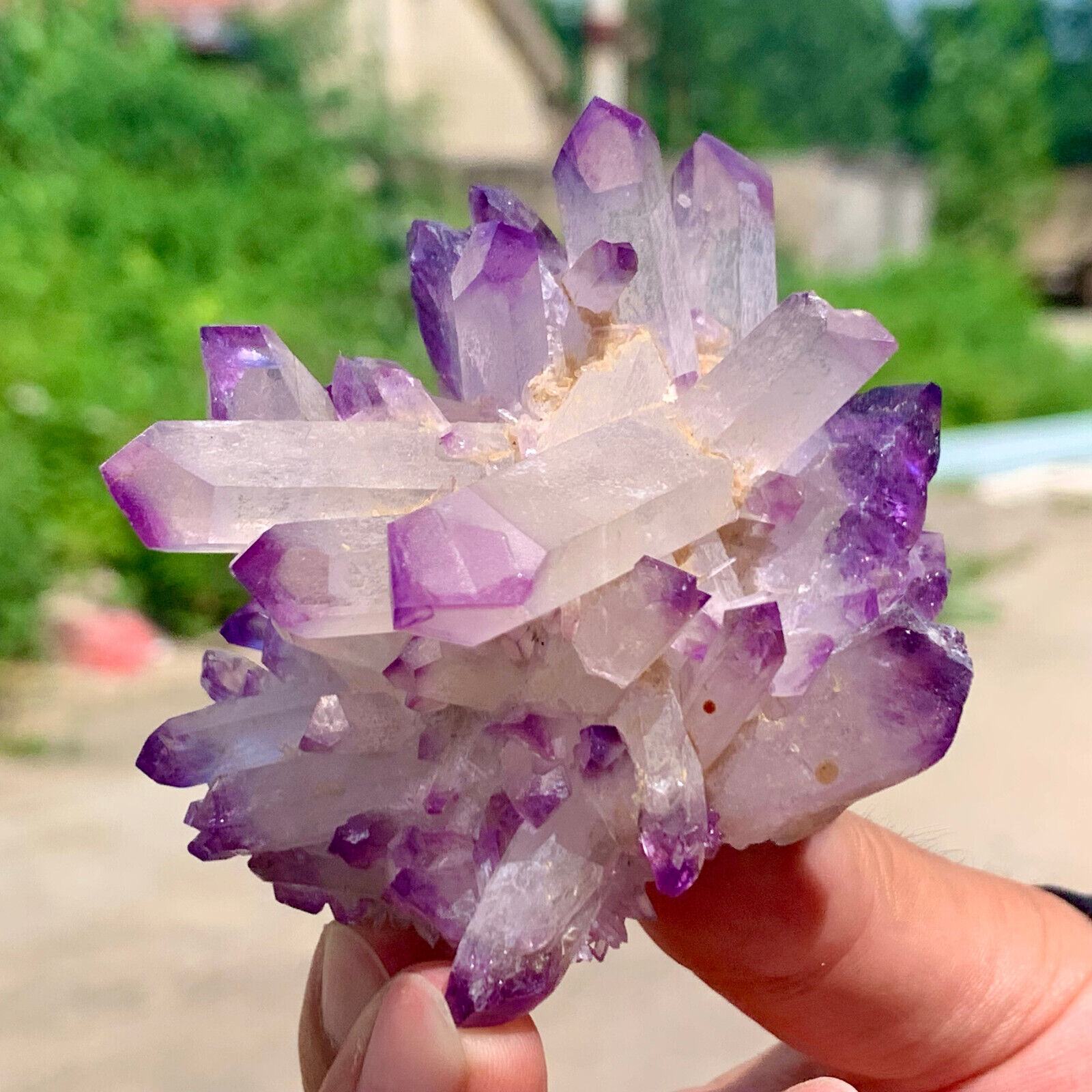 128G Beautiful quartz cluster cactus Amethyst pile natural Druze Ge