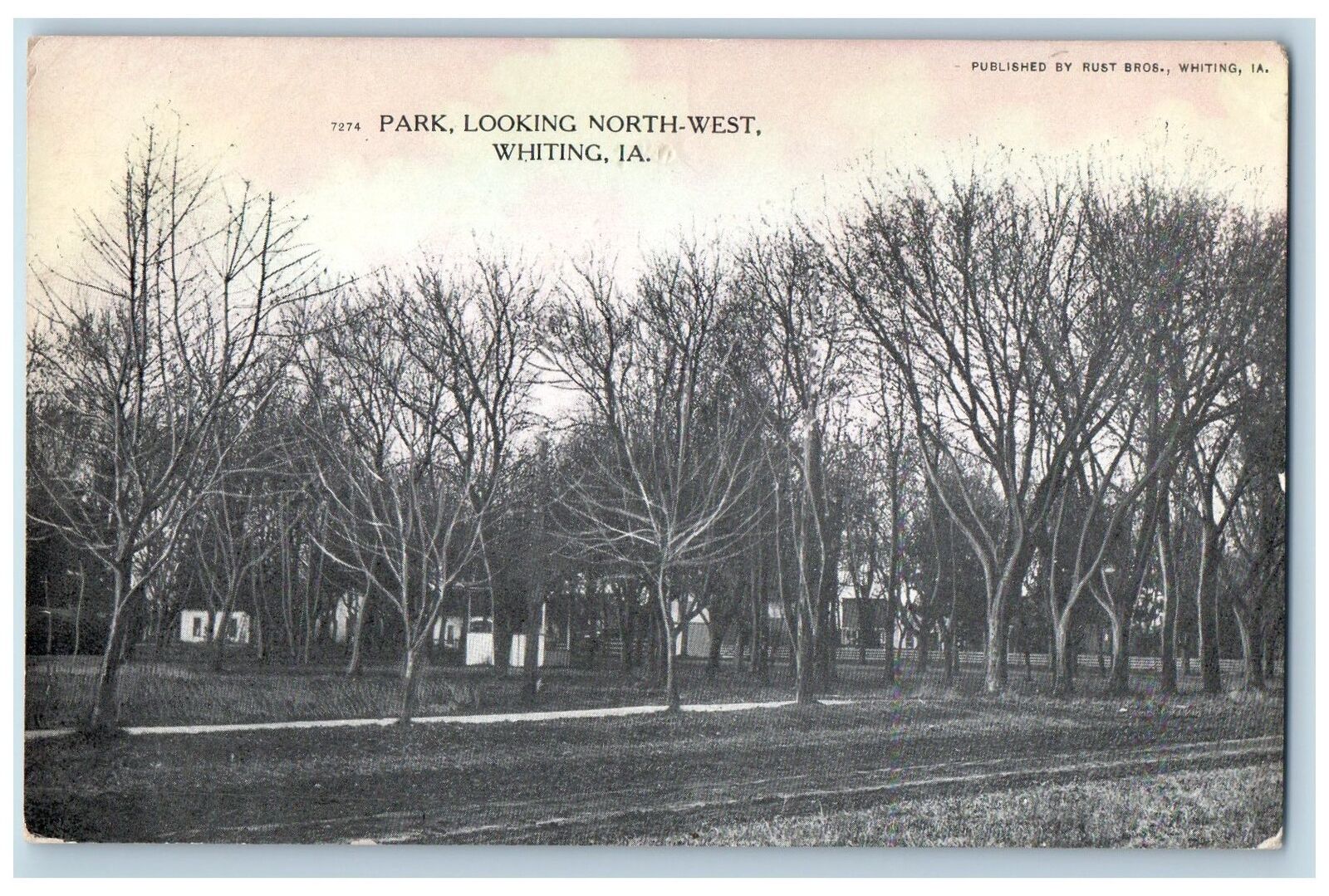 c1910's Park Looking North-West Dirt Road Trees Whiting Iowa IA Antique Postcard