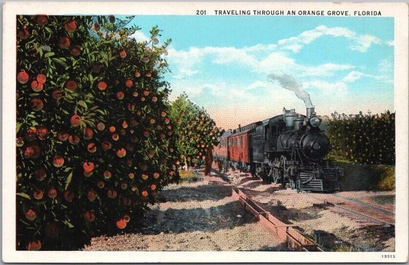 c1930s FLORIDA Postcard 