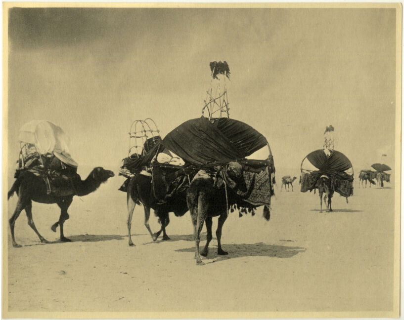 Photo Analogue Nomad Touareg Maghreb to The 1910