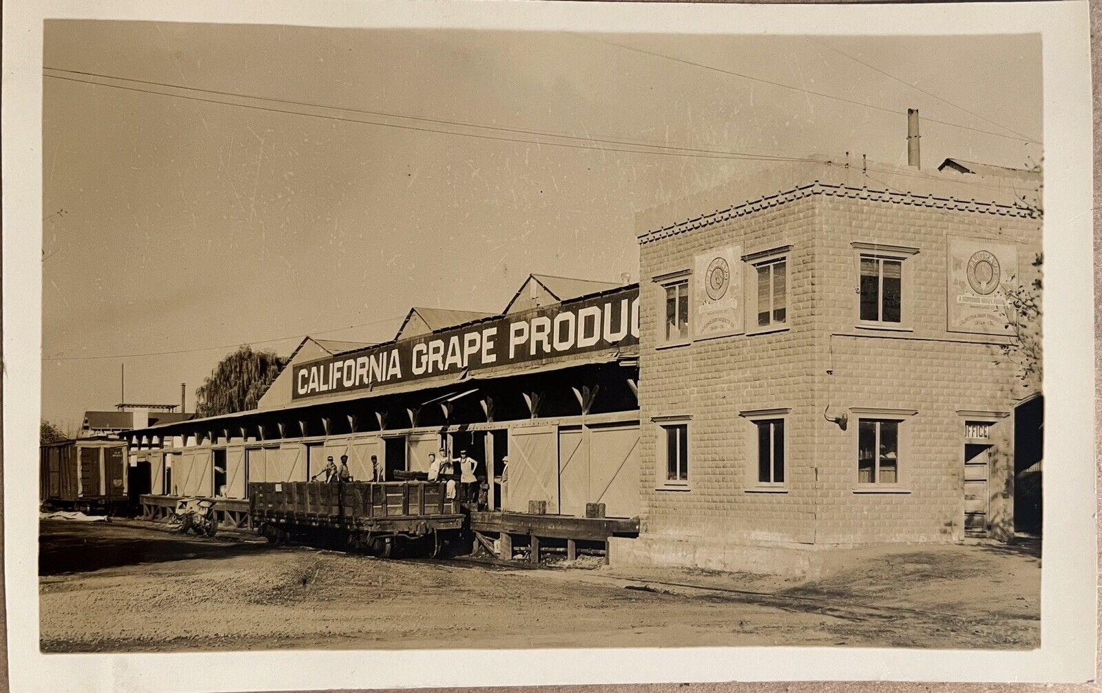 RPPC Ukiah California Grape Produce Building Workers Real Photo Postcard c1930