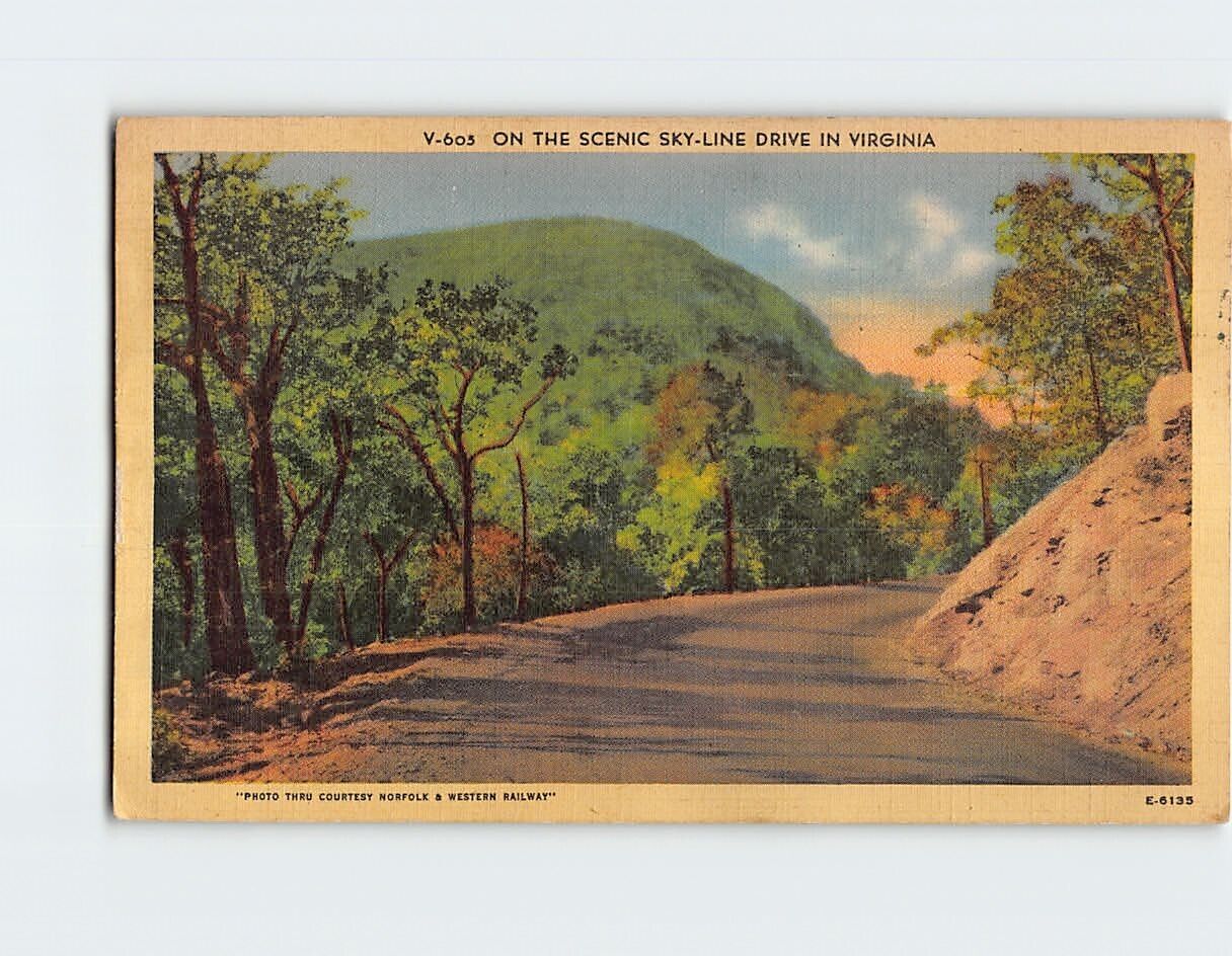 Postcard On The Scenic Skyline Drive Virginia USA