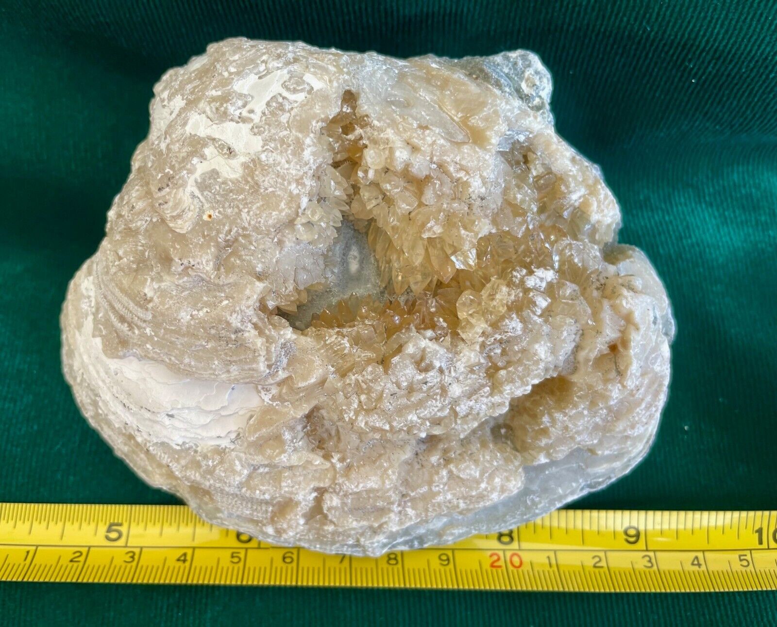 Fossil Calcite Clams with bright Dog Teeth pointed calcite