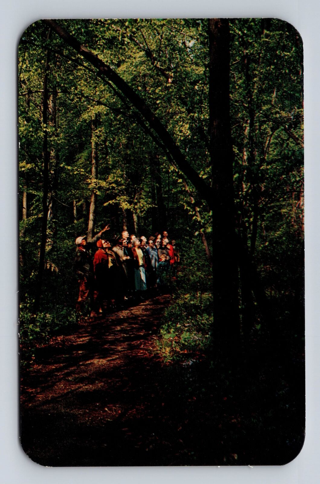 Columbus OH-Ohio, Blacklick Woods Metro Park, Bird Watching, Vintage Postcard