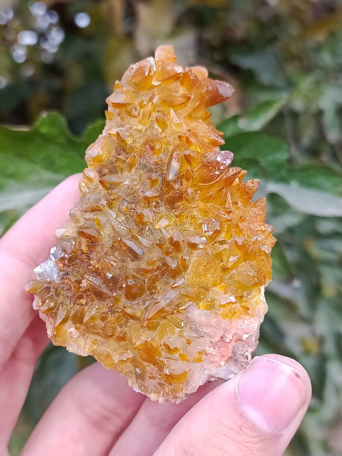 128g Natural Gemstone Orange Dog Tooth Calcite Cluster Mineral Specimen Crystal