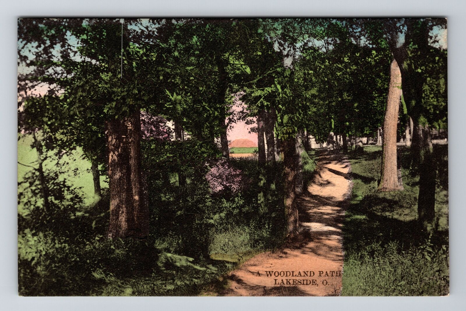 Lakeside, OH-Ohio, Scenic Woodland Path, Vintage Postcard