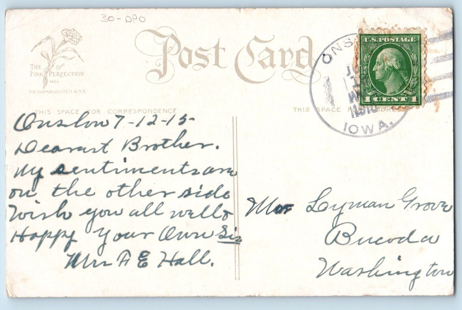DPO Onslow Iowa IA Postcard Birthday Message Daisy Flowers Field Scene 1912