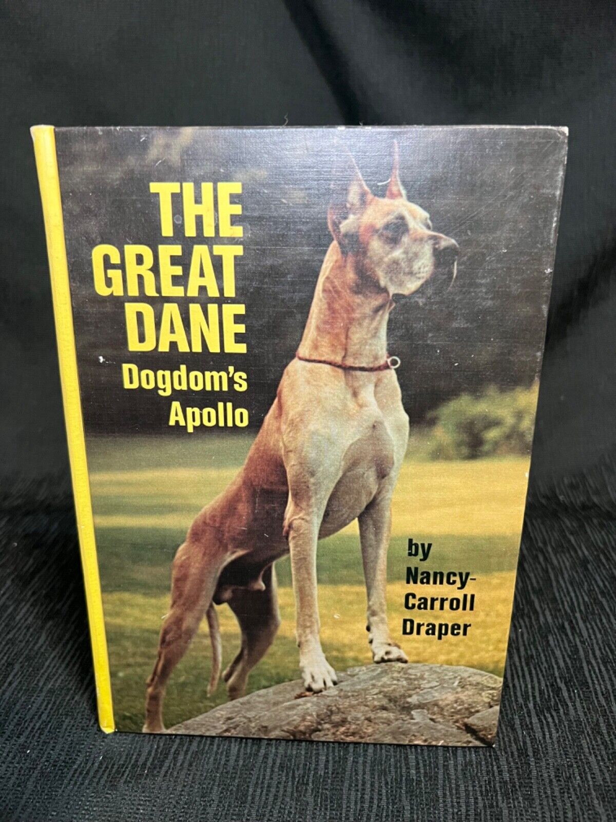RARE DOG BOOK “THE GREAT DANE Dogdom’s Apollo” 1987 Nancy Carrell Draper VG+