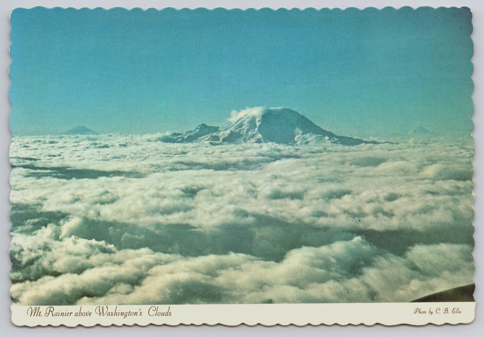 Mt Rainier above Clouds Mt Adams Mount St Helens Aerial View 6x4 Postcard C17
