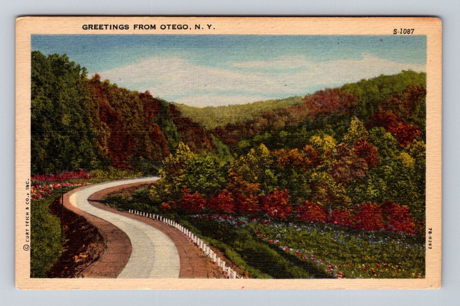Otego NY-New York, Scenic Greetings, Roadway, Antique, Vintage Souvenir Postcard