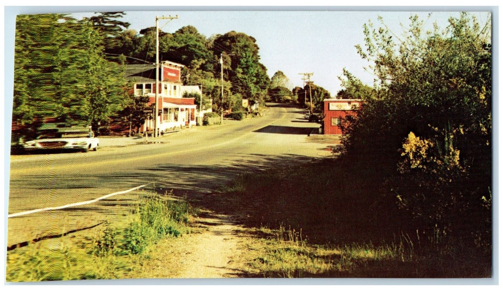 c1960s Inverness Houses Scene Marin County California CA Unposted Car Postcard