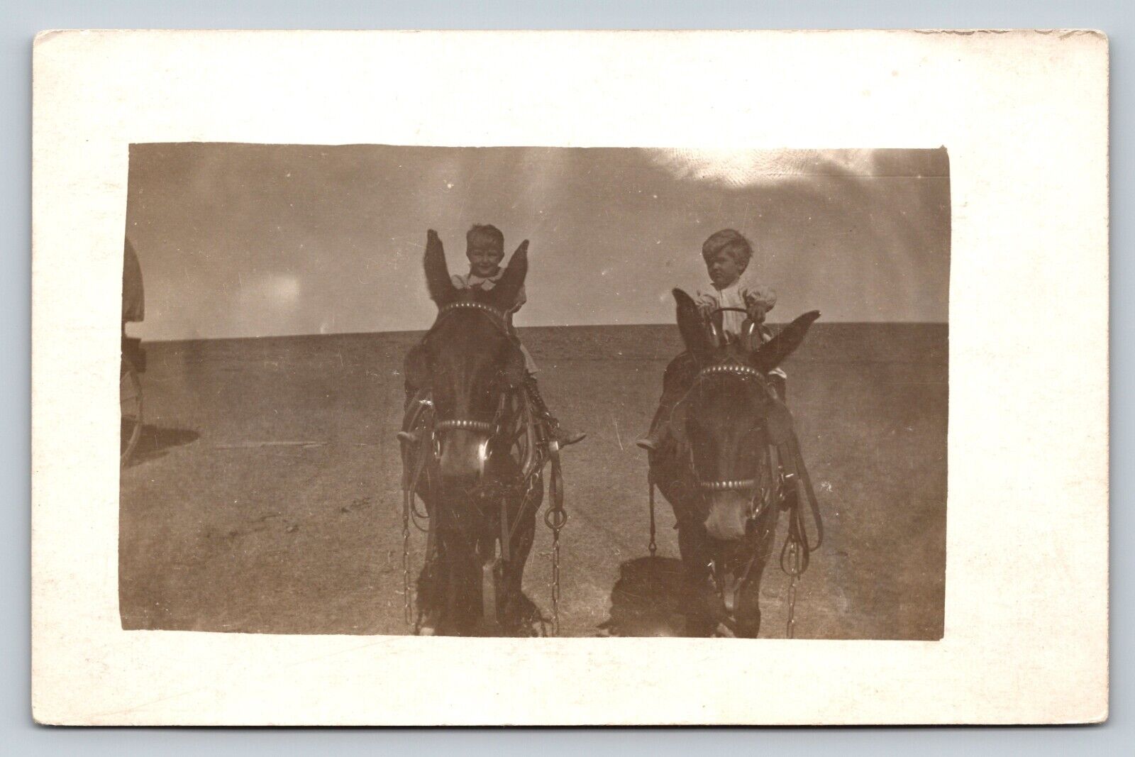 RPPC Two Young Boys Riding Mules CLASSIC Image VINTAGE Postcard 1466
