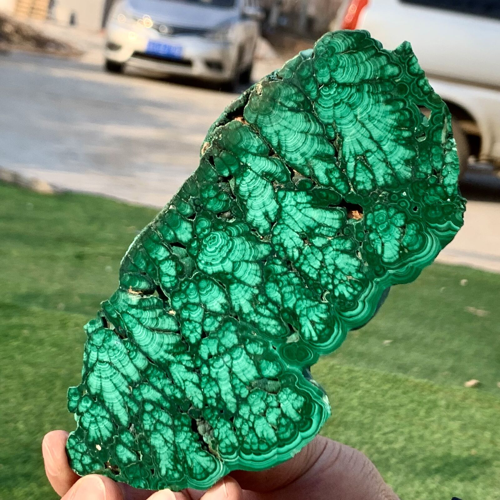 412G Natural Malachite transparent cluster coarse  mineral flaky sample