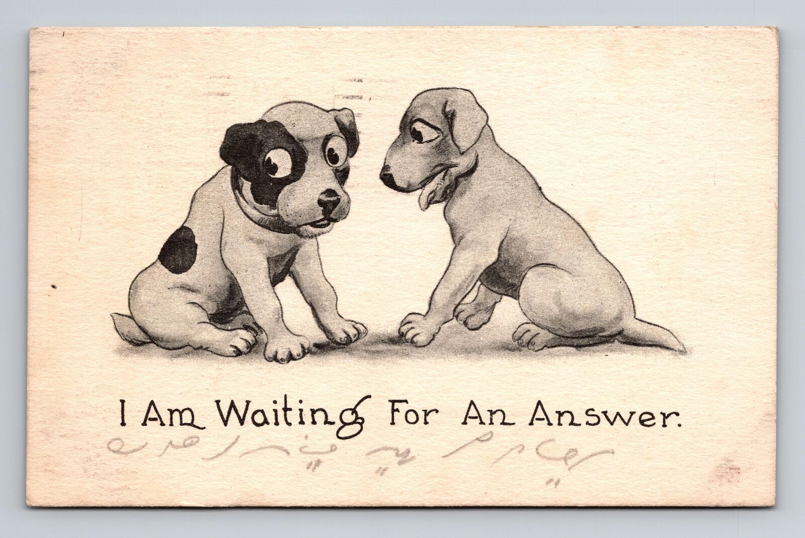 c1912 DB Postcard Puppy Dogs Waiting for an Answer Cypher Key? Wall?