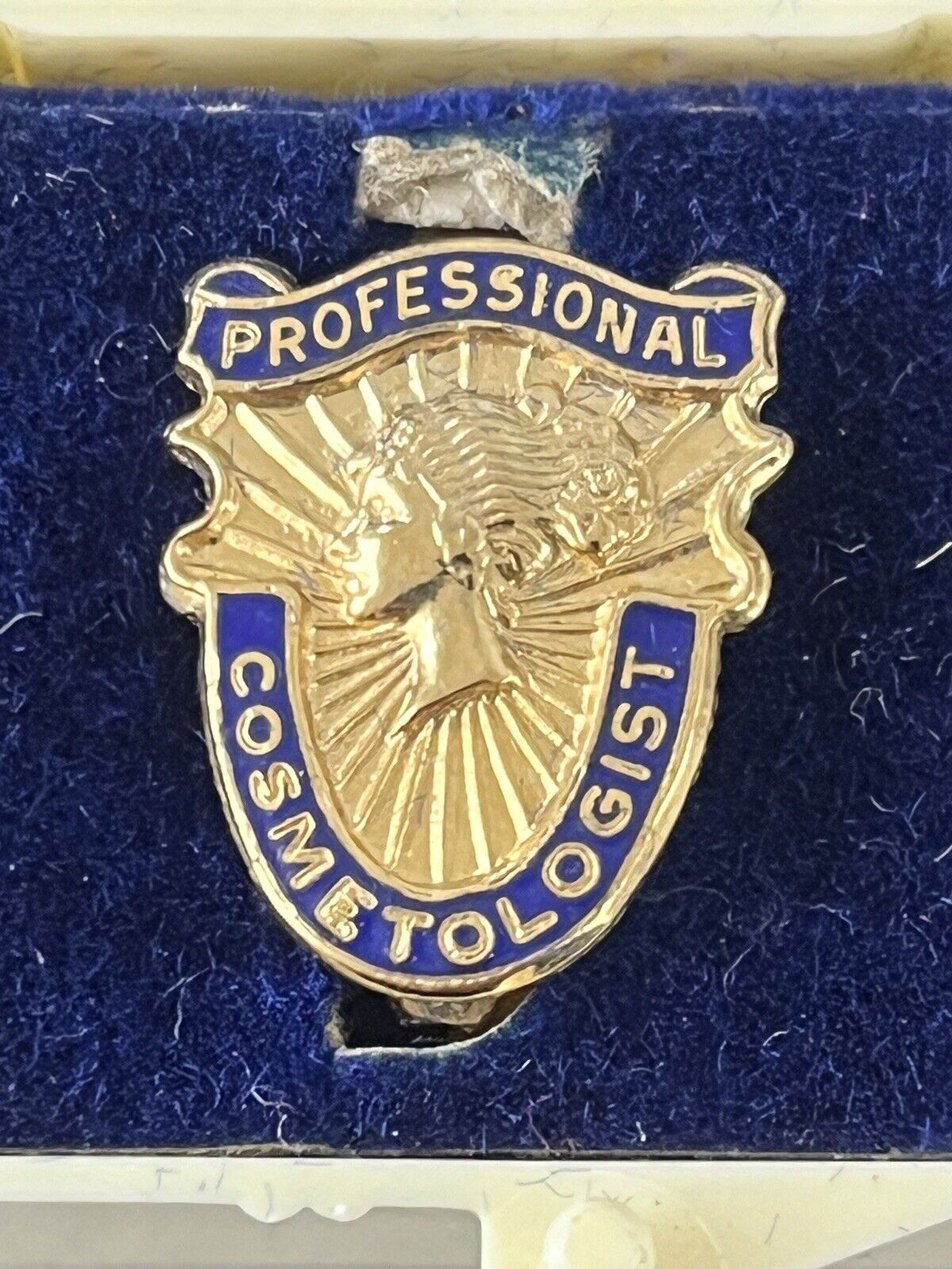 Vintage PROFESSIONAL COSMETOLOGIST Pin 1/20 10K GF Enameled Beautiful pin NOS