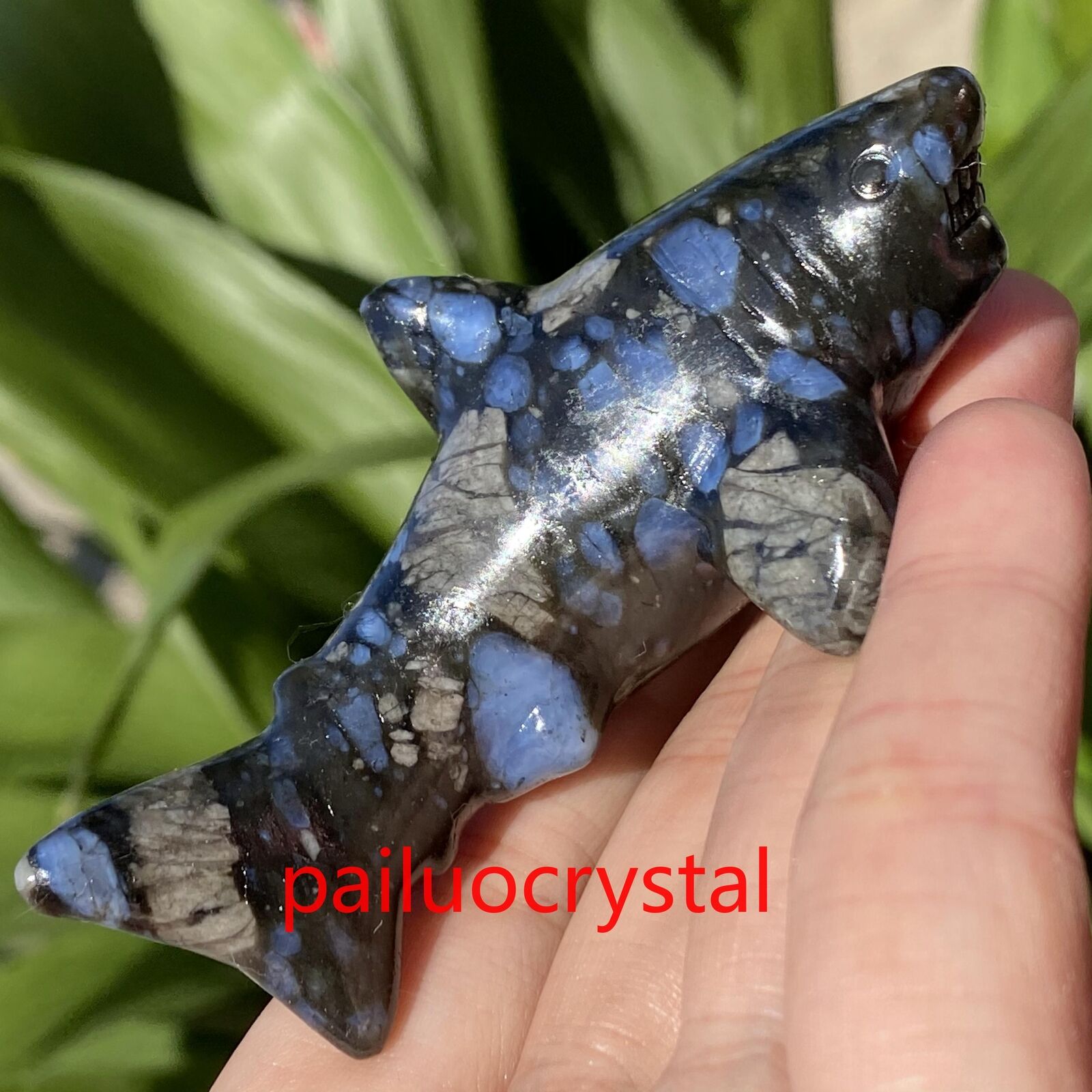 1pcs Natural Rhyolite Shark Quartz Crystal Skull Carved Figurines Gem Healing 3\