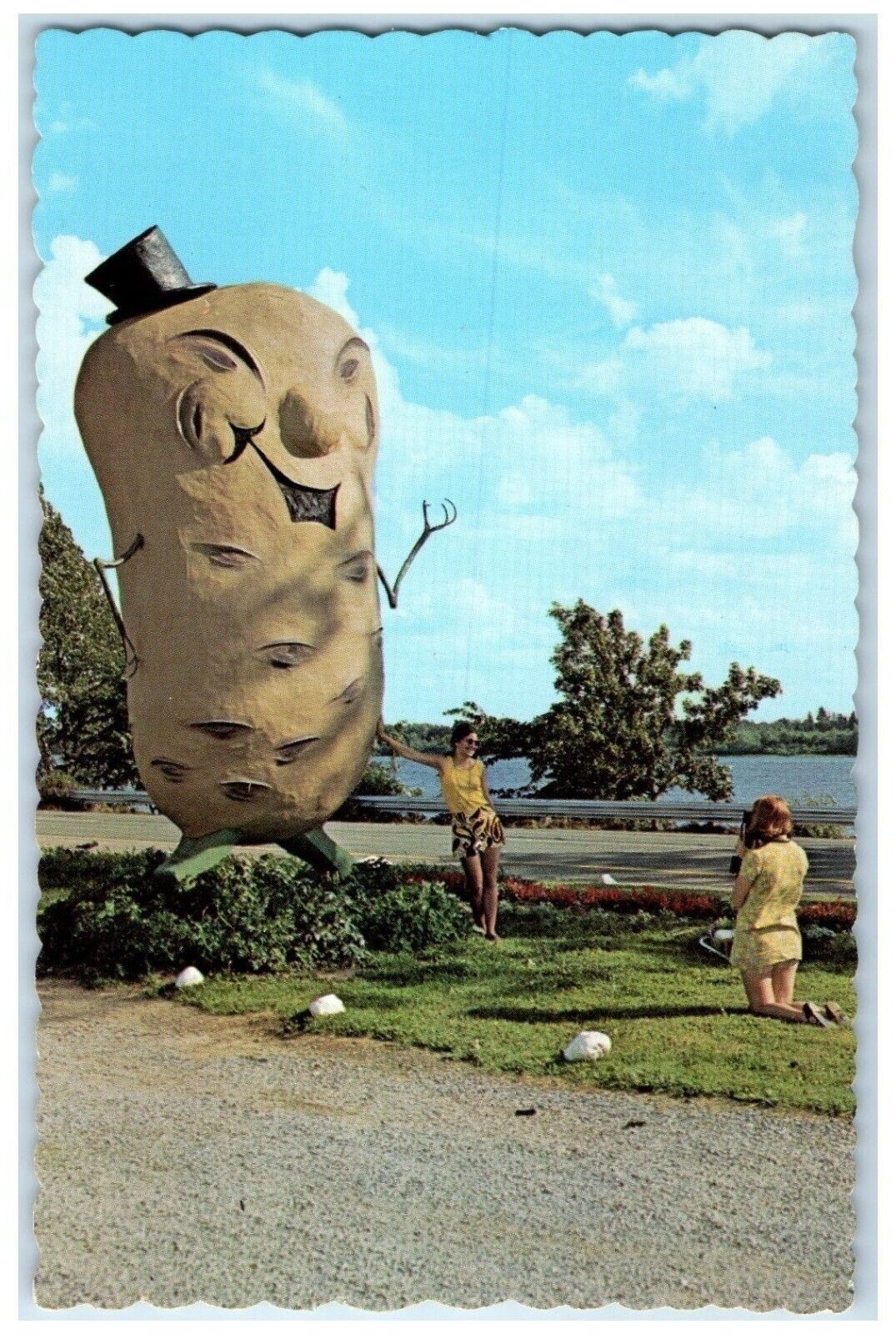 c1960's The Potato Man Harvey's Vegetable Drive Fredericton NB Canada Postcard