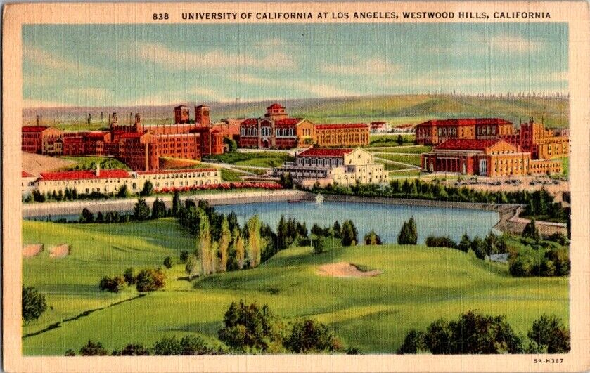 Postcard University California Los Angeles UCLA CA California              K-232