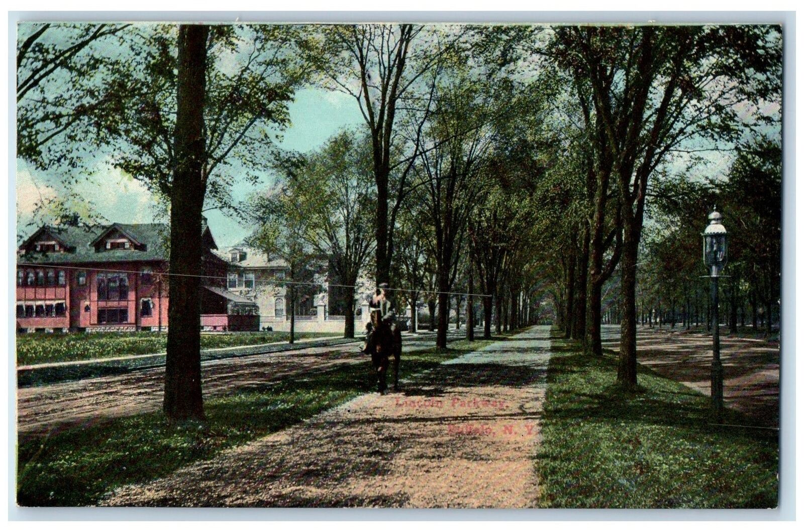 c1950\'s Lincoln Parkway Dirt Road Lined Trees Riding Horse Buffalo NY Postcard