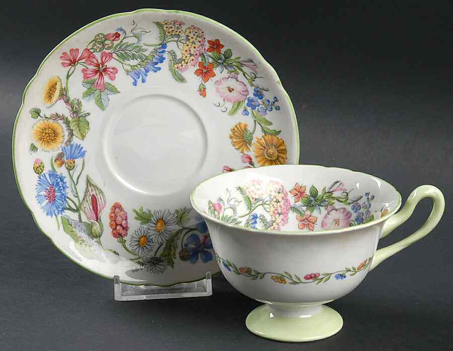 Shelley Hedgerow Cup & Saucer 2209137