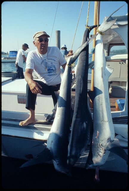 Photo:Frank Mundus, shark hunting, Montauk Point, LI. [[i.e. Long Island]]