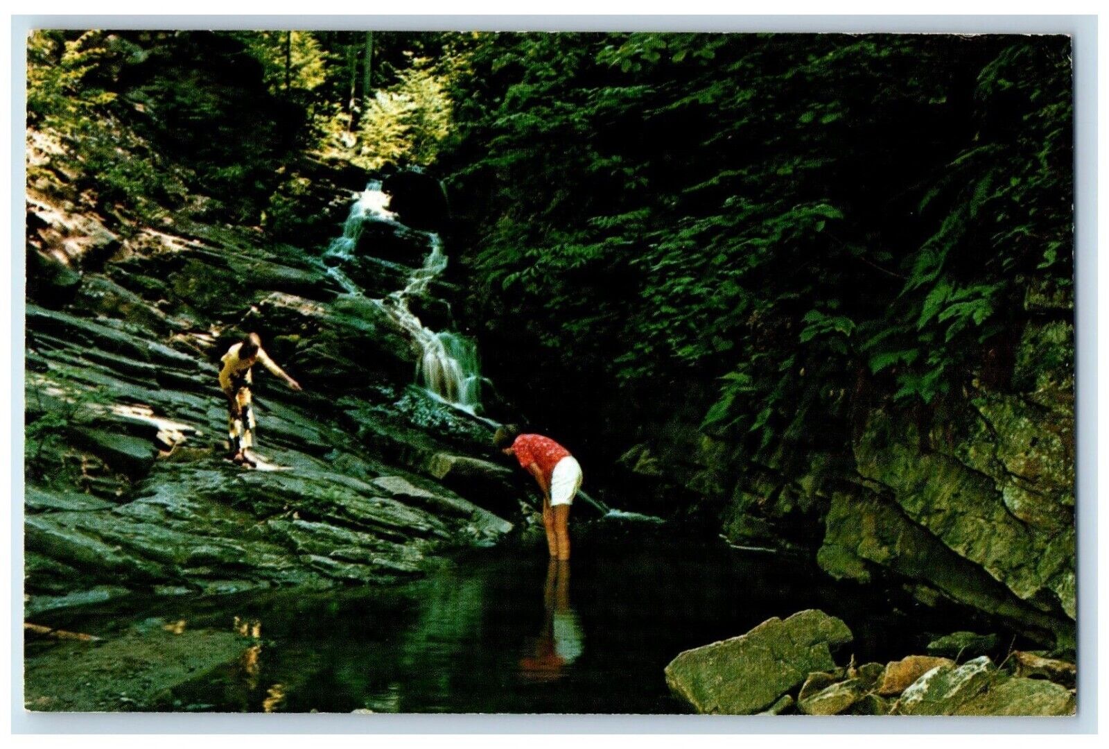 c1960 Delightful Spots Chesterfield Gorge New Hampshire NH State Park Postcard