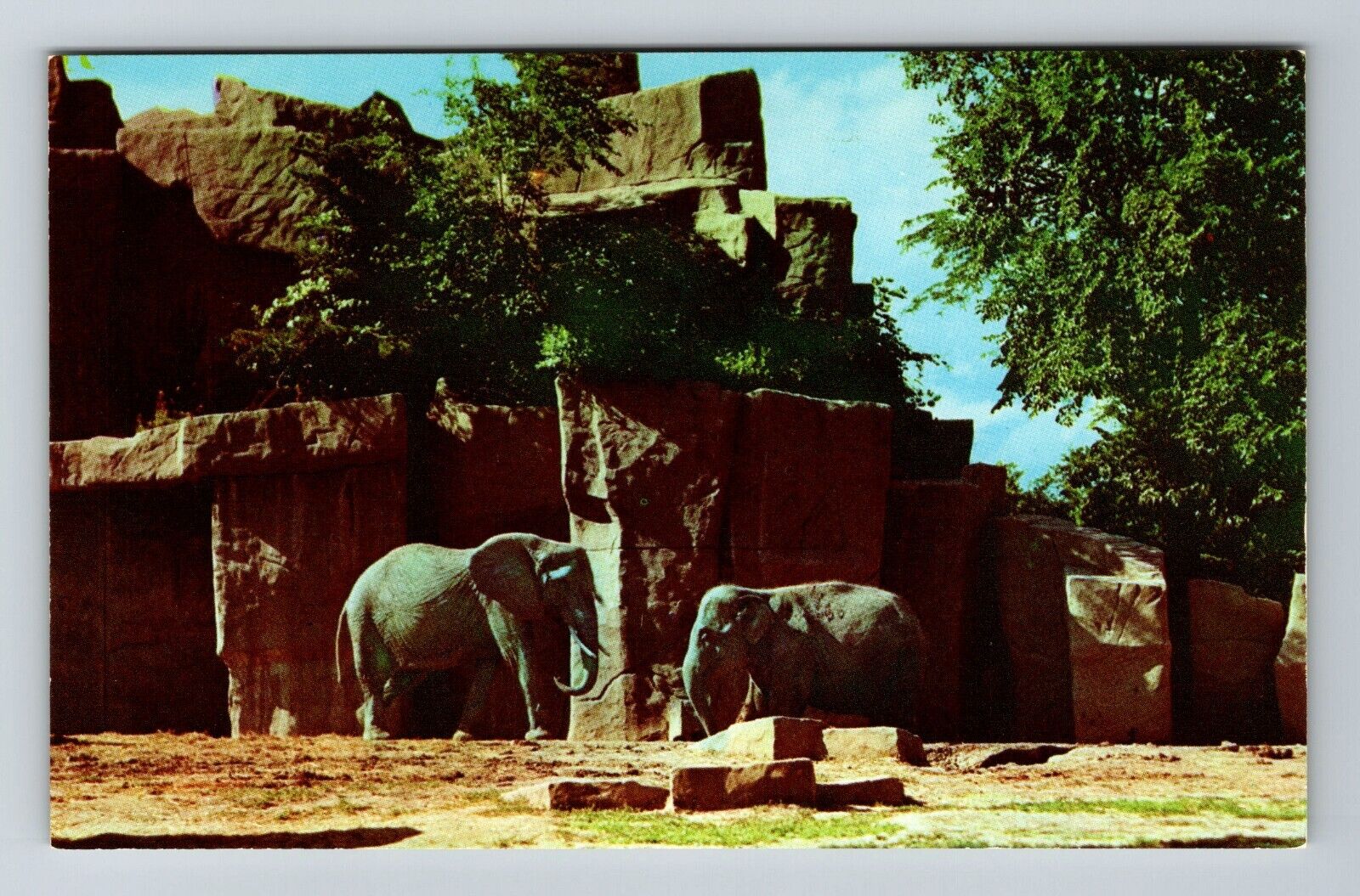 Brookfield IL-Illinois, Elephants Shown At Zoological Park, Vintage Postcard