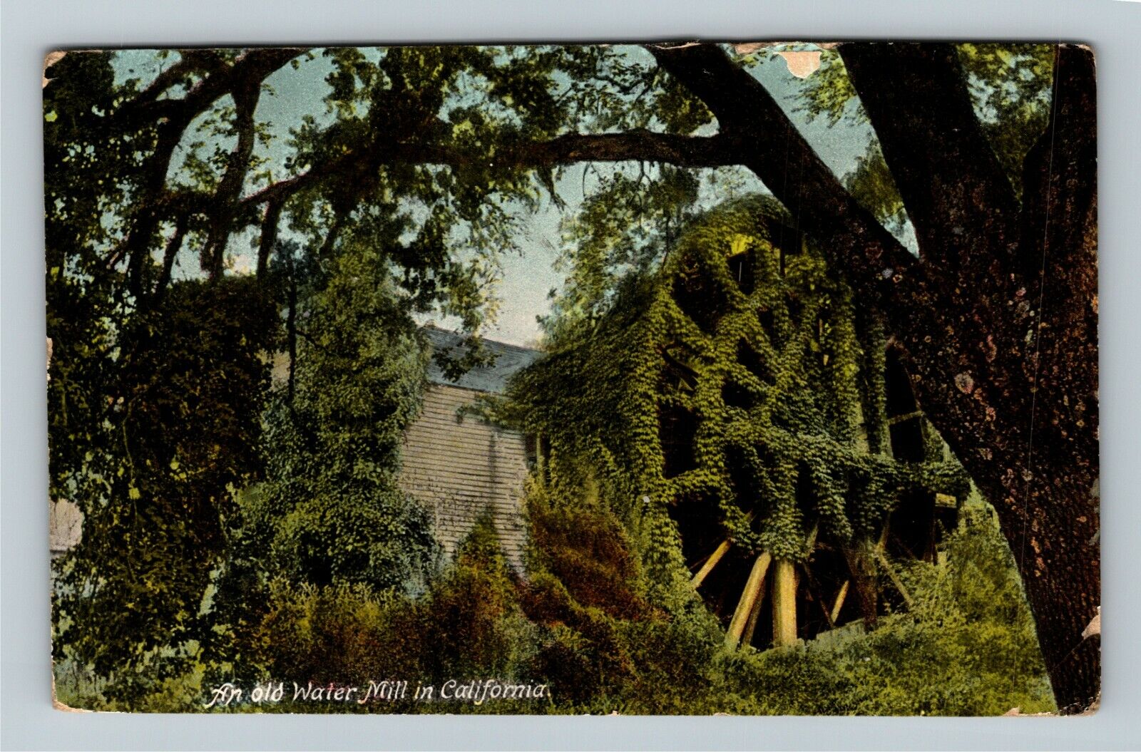 CA-California, Old Water Mill in California, Vintage Postcard