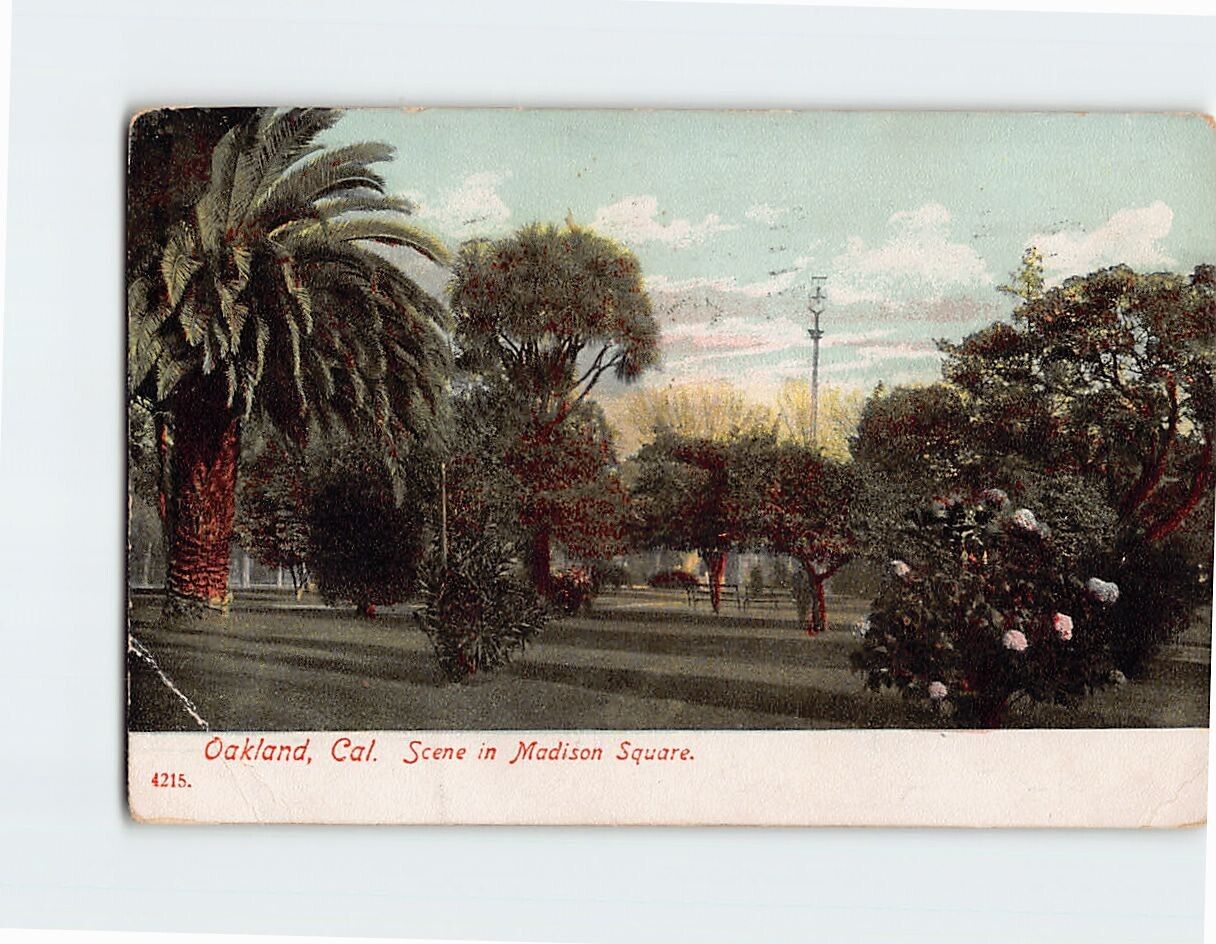 Postcard Scene in Madison Square, Oakland, California